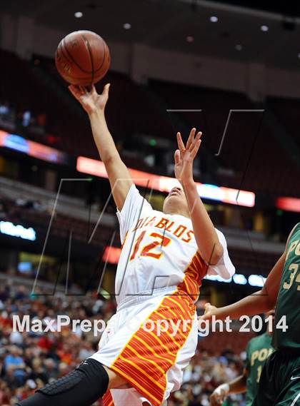 Thumbnail 3 in Long Beach Poly vs. Mission Viejo (CIF SS 1AA Final) photogallery.