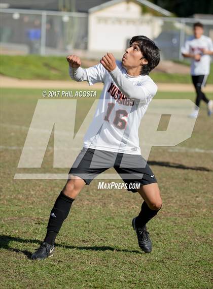 Thumbnail 3 in Gabrielino vs Arleta photogallery.