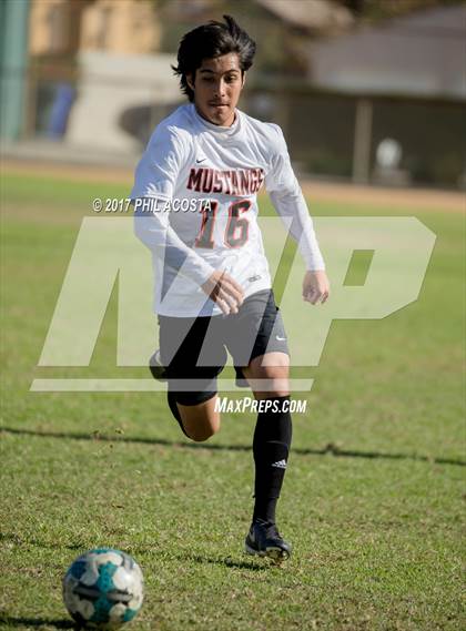 Thumbnail 2 in Gabrielino vs Arleta photogallery.