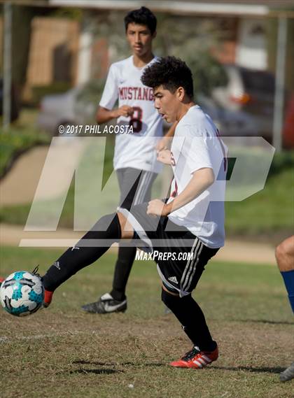 Thumbnail 1 in Gabrielino vs Arleta photogallery.