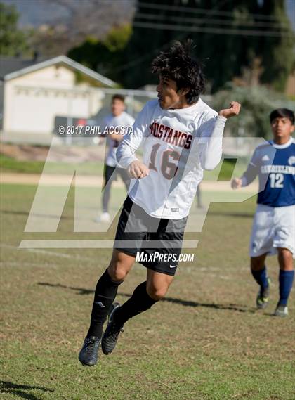 Thumbnail 2 in Gabrielino vs Arleta photogallery.