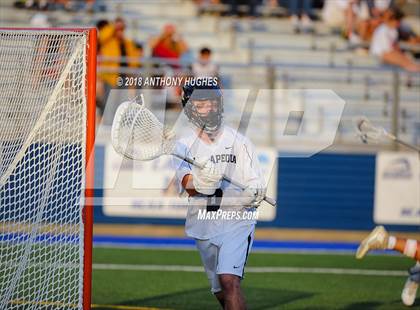 Thumbnail 1 in Massapequa vs Syosset (Section VII Class A Playoff) photogallery.