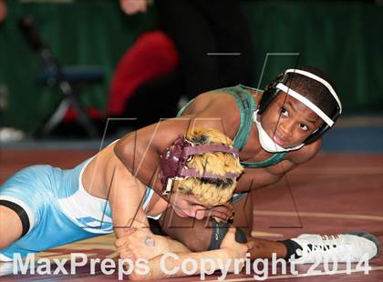 Thumbnail 1 in NYSPHSAA Championships (Division I Semifinals) photogallery.