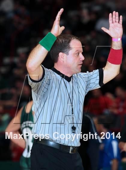 Thumbnail 3 in NYSPHSAA Championships (Division I Semifinals) photogallery.