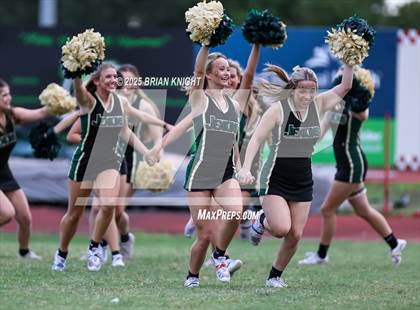 Thumbnail 2 in Mulberry @ George Jenkins photogallery.