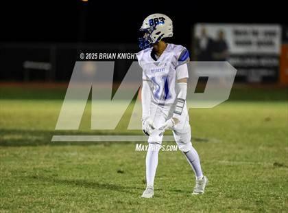 Thumbnail 3 in Mulberry @ George Jenkins photogallery.