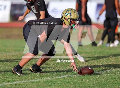 Thumbnail 3 in Mulberry @ George Jenkins photogallery.