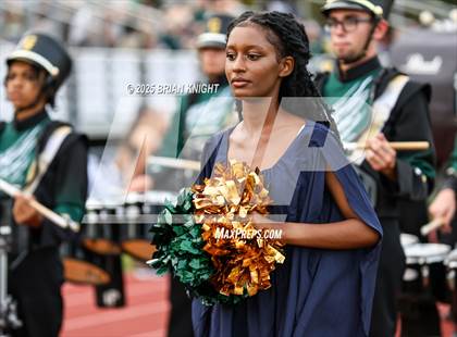 Thumbnail 2 in Mulberry @ George Jenkins photogallery.