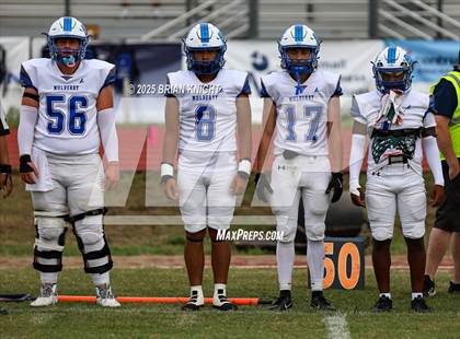 Thumbnail 2 in Mulberry @ George Jenkins photogallery.