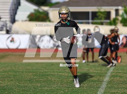 Thumbnail 3 in Mulberry @ George Jenkins photogallery.