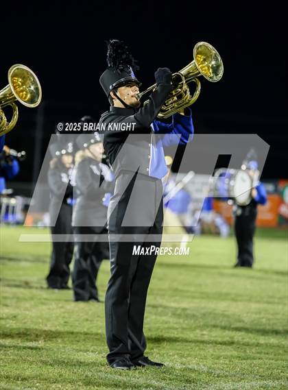 Thumbnail 1 in Mulberry @ George Jenkins photogallery.