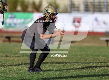 Thumbnail 2 in Mulberry @ George Jenkins photogallery.