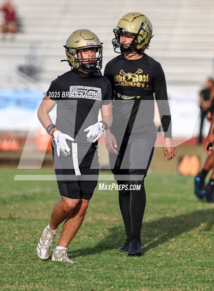 Thumbnail 1 in Mulberry @ George Jenkins photogallery.