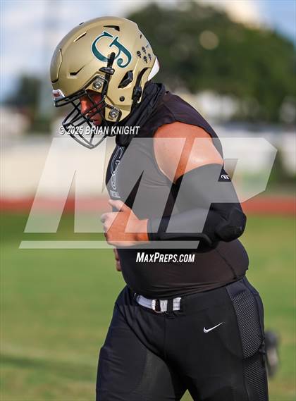 Thumbnail 1 in Mulberry @ George Jenkins photogallery.