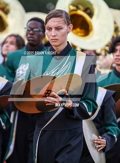 Thumbnail 3 in Mulberry @ George Jenkins photogallery.