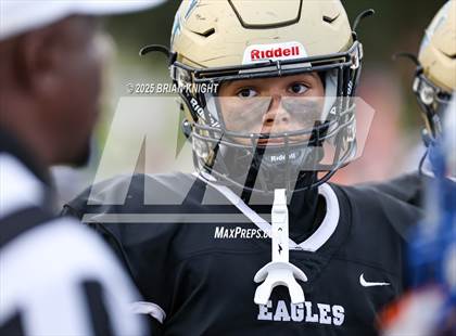 Thumbnail 1 in Mulberry @ George Jenkins photogallery.