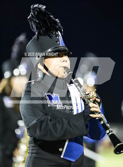 Thumbnail 2 in Mulberry @ George Jenkins photogallery.