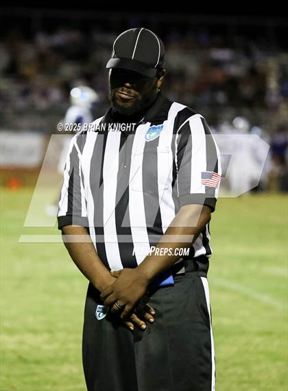 Thumbnail 3 in Mulberry @ George Jenkins photogallery.