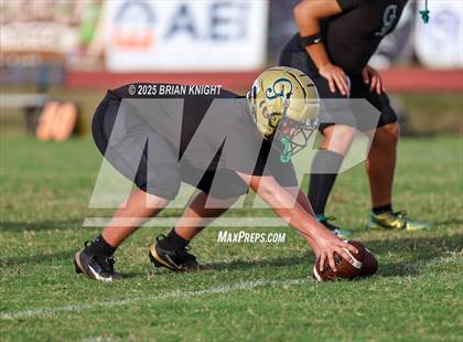 Thumbnail 1 in Mulberry @ George Jenkins photogallery.