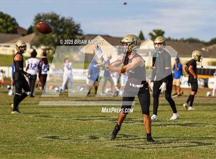 Thumbnail 1 in Mulberry @ George Jenkins photogallery.