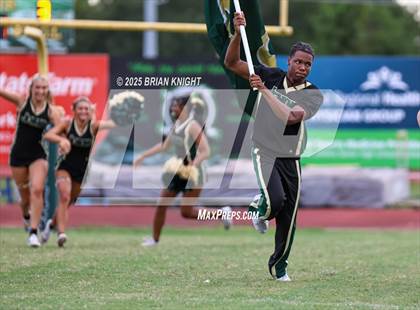 Thumbnail 1 in Mulberry @ George Jenkins photogallery.