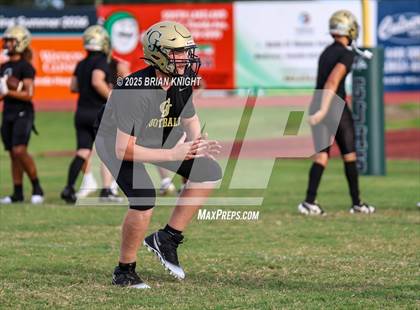 Thumbnail 3 in Mulberry @ George Jenkins photogallery.