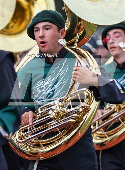 Thumbnail 2 in Mulberry @ George Jenkins photogallery.