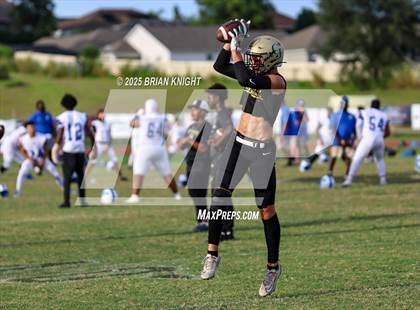 Thumbnail 1 in Mulberry @ George Jenkins photogallery.