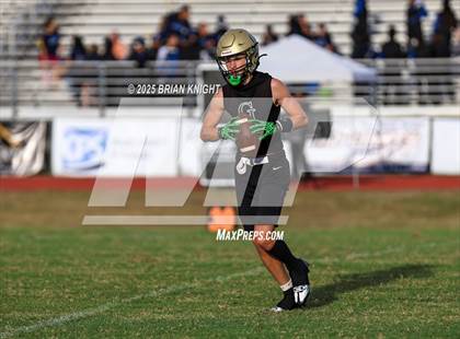 Thumbnail 1 in Mulberry @ George Jenkins photogallery.