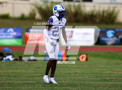 Thumbnail 3 in Mulberry @ George Jenkins photogallery.