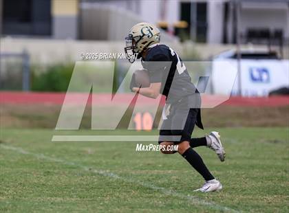 Thumbnail 3 in Mulberry @ George Jenkins photogallery.