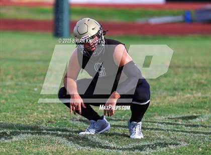 Thumbnail 3 in Mulberry @ George Jenkins photogallery.