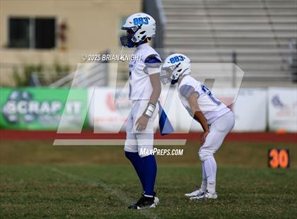 Thumbnail 3 in Mulberry @ George Jenkins photogallery.