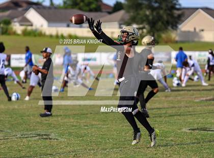 Thumbnail 3 in Mulberry @ George Jenkins photogallery.