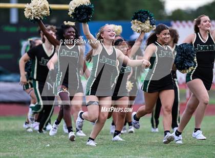 Thumbnail 3 in Mulberry @ George Jenkins photogallery.