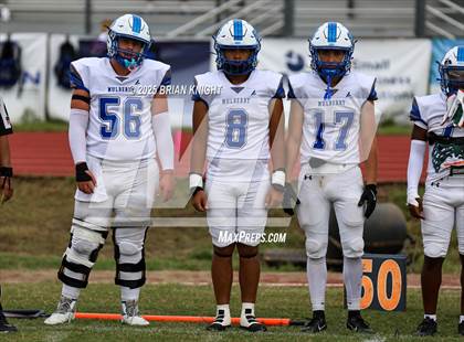 Thumbnail 1 in Mulberry @ George Jenkins photogallery.