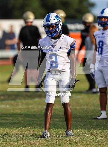 Thumbnail 3 in Mulberry @ George Jenkins photogallery.