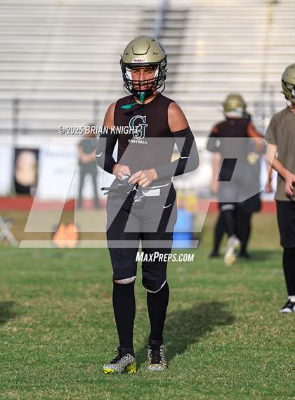 Thumbnail 3 in Mulberry @ George Jenkins photogallery.