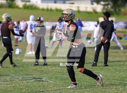 Thumbnail 1 in Mulberry @ George Jenkins photogallery.