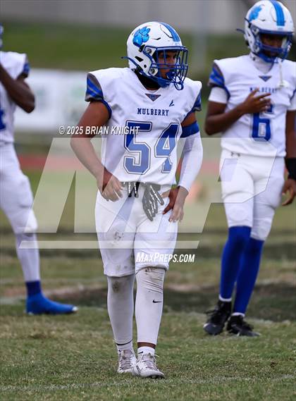 Thumbnail 3 in Mulberry @ George Jenkins photogallery.