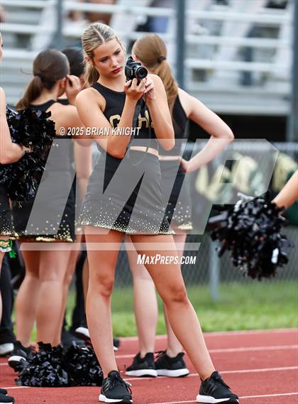 Thumbnail 2 in Mulberry @ George Jenkins photogallery.