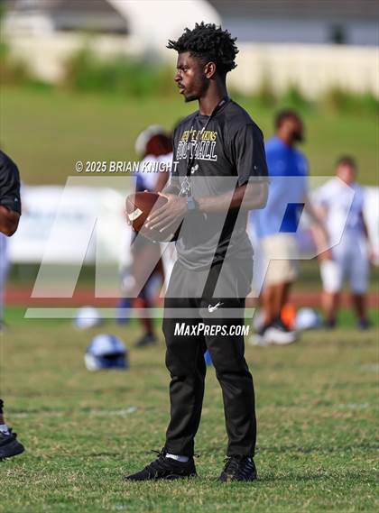 Thumbnail 1 in Mulberry @ George Jenkins photogallery.