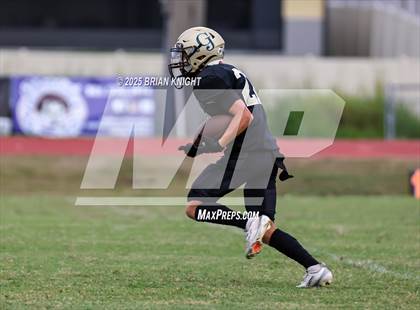 Thumbnail 1 in Mulberry @ George Jenkins photogallery.