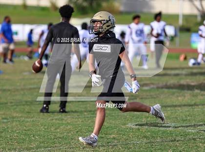 Thumbnail 2 in Mulberry @ George Jenkins photogallery.