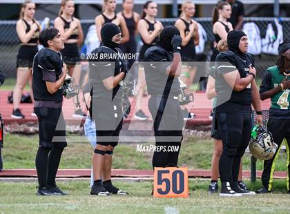 Thumbnail 1 in Mulberry @ George Jenkins photogallery.