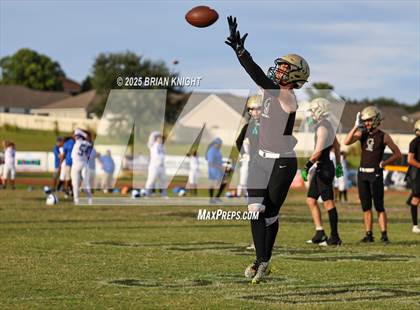 Thumbnail 2 in Mulberry @ George Jenkins photogallery.