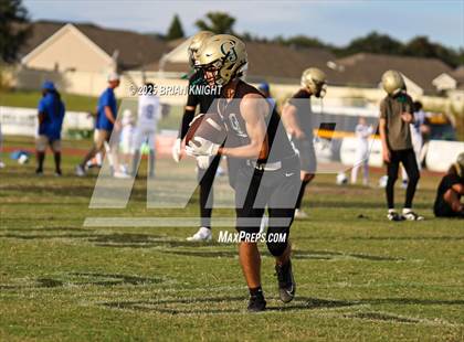 Thumbnail 3 in Mulberry @ George Jenkins photogallery.