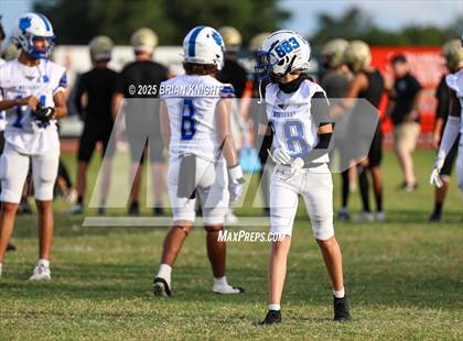 Thumbnail 2 in Mulberry @ George Jenkins photogallery.