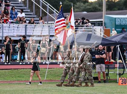 Thumbnail 3 in Mulberry @ George Jenkins photogallery.