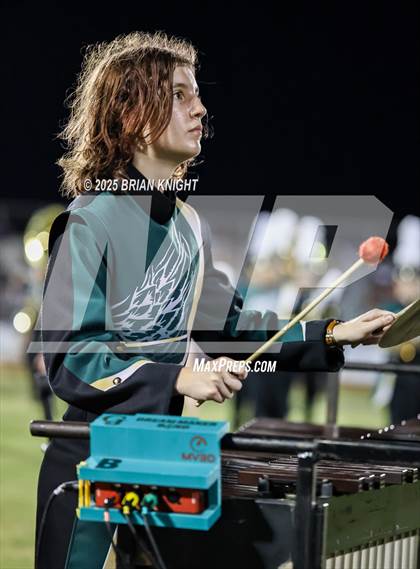 Thumbnail 1 in Mulberry @ George Jenkins photogallery.